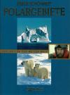 Fiennes, Eisige Schönheit Polargebiete