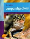 Keller, Ihr Hobby - Leopardgeckos.
