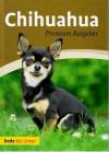 Schmitt, Chihuahua.
